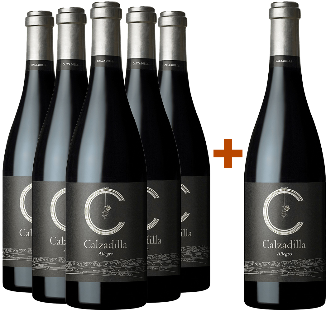 Pack descuento 5+1 Allegro Pago Calzadilla VP BIO