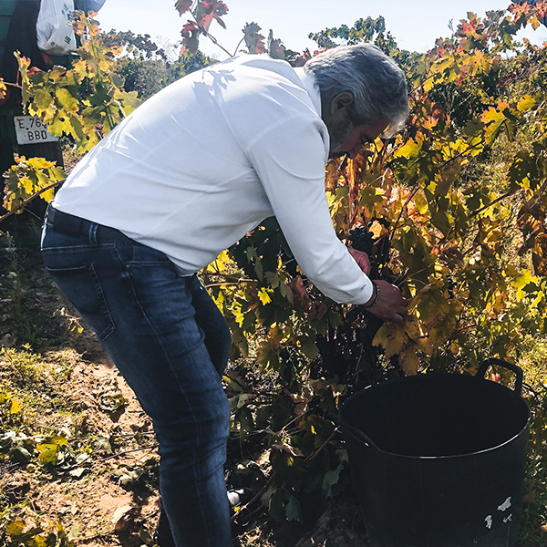 manufacturer_adamantia_person J.Antonio Quintero