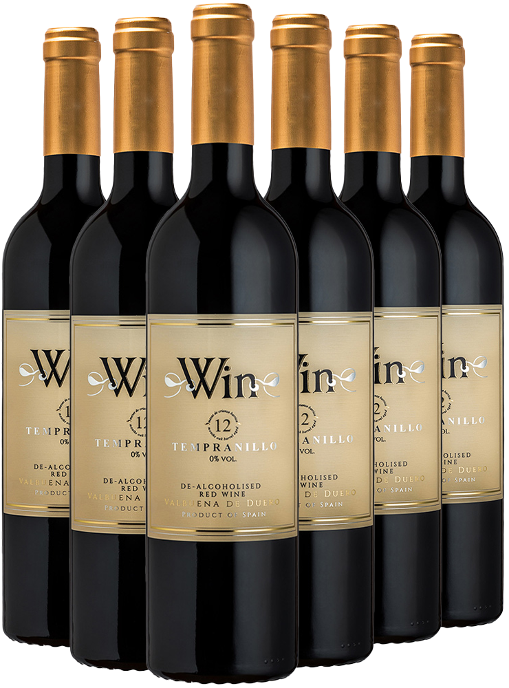 Pack descuento WIN-E Tempranillo 12M Crianza Pack descuento WIN-E Tempranillo 12M Crianza