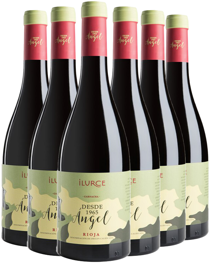 Pack Descuento Ángel Rioja DOCa