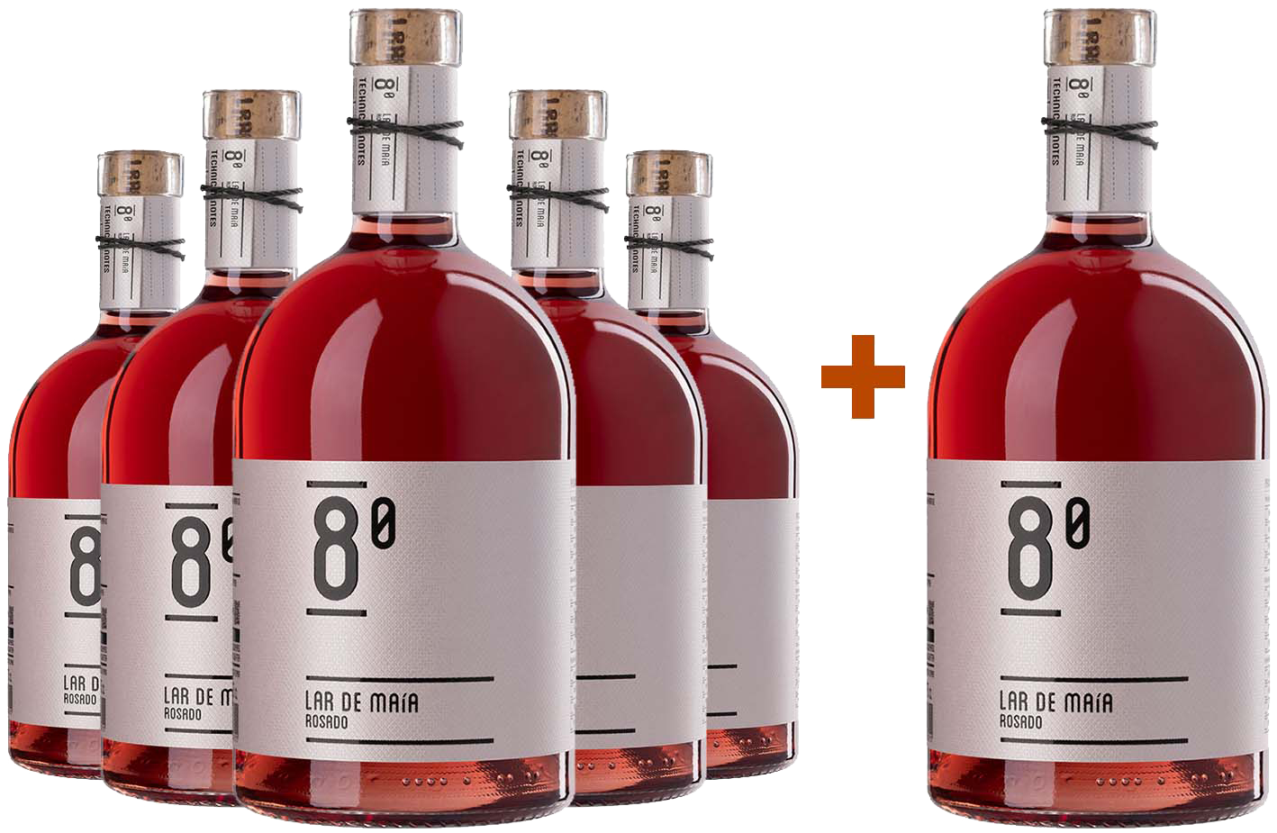 Pack descuento 5+1 8º Castilla y León VT