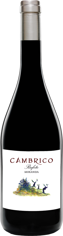 2021 Cámbrico Miranda Sierra de Salamanca DOP 2021 Cámbrico Miranda Sierra de Salamanca DOP