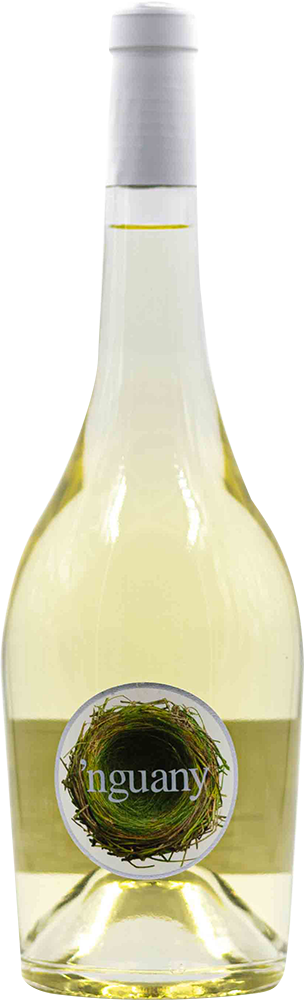 2025 Nguany Blanco Mallorca VT