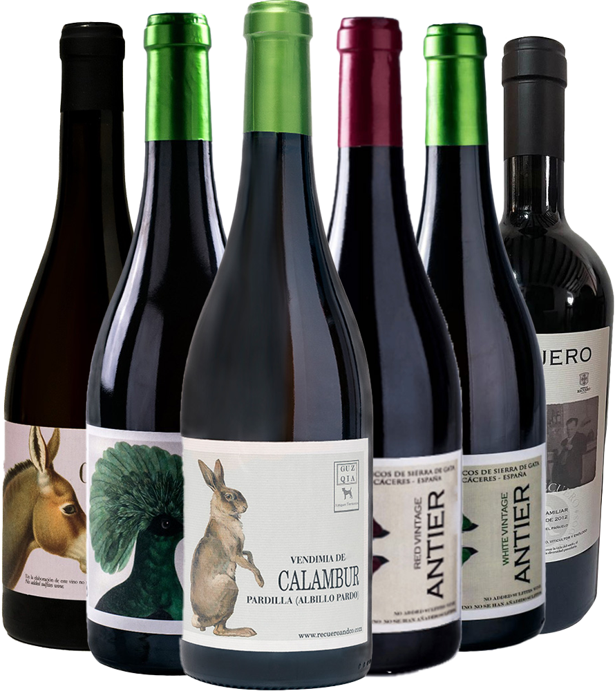 Pack Degustación Recuero & Co Pack Degustación Recuero & Co
