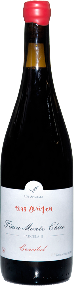 2023 1298 Origen Cencibel Barrica Castilla VT