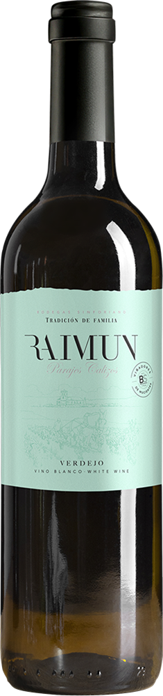 2025 RAIMUN VERDEJO