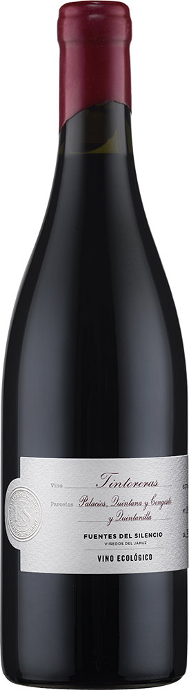 2020 Fuentes del Silencio Tintoreras Castilla y León VT