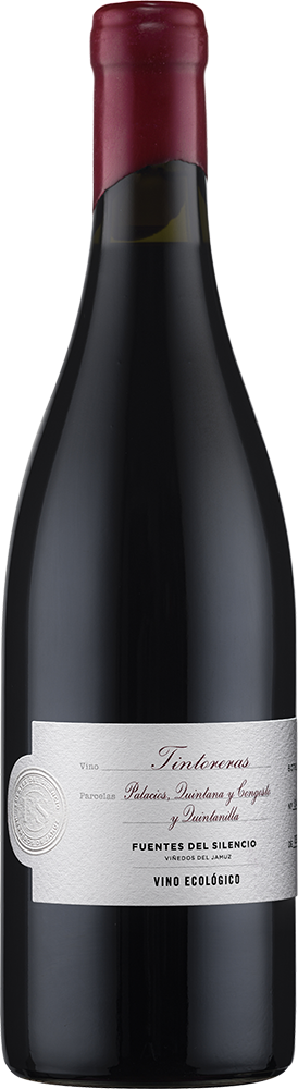2020 Fuentes del Silencio Tintoreras Castilla y León VT 2020 Fuentes del Silencio Tintoreras Castilla y León VT