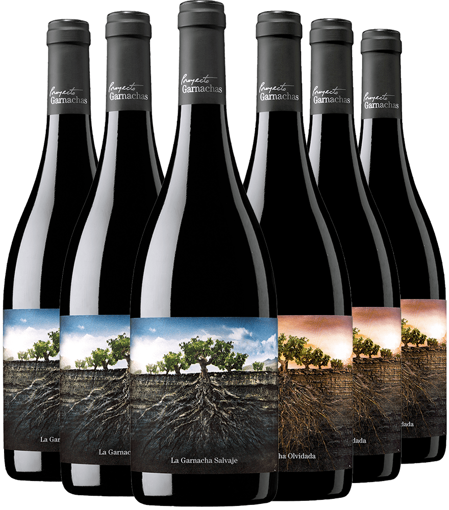 Pack Degustación Proyecto Garnachas