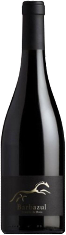 2021 Barbazul Tintilla de Rota Cádiz VT 2021 Barbazul Tintilla de Rota Cádiz VT