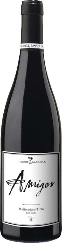 2022 Amigos Multivarietal Tinto Castilla VT 2022 Amigos Multivarietal Tinto Castilla VT