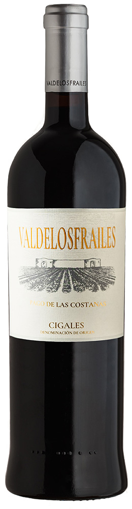 2016 Valdelosfrailes Pago de Las Costanas DO Cigales