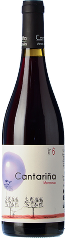 2023 Cantariña 6 Merenzao Bierzo DO BIO