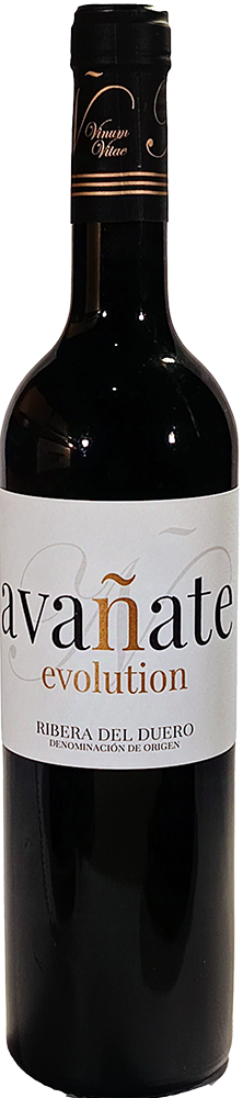 2020 Avañate Evolution Ribera del Duero DO 2020 Avañate Evolution Ribera del Duero DO