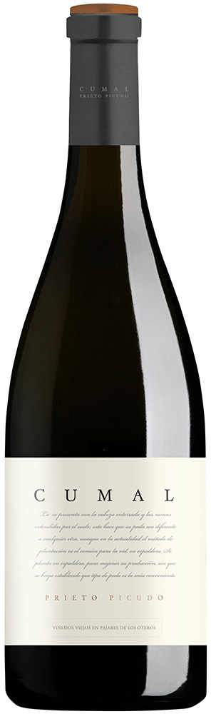 2018 Cumal Castilla y León VT