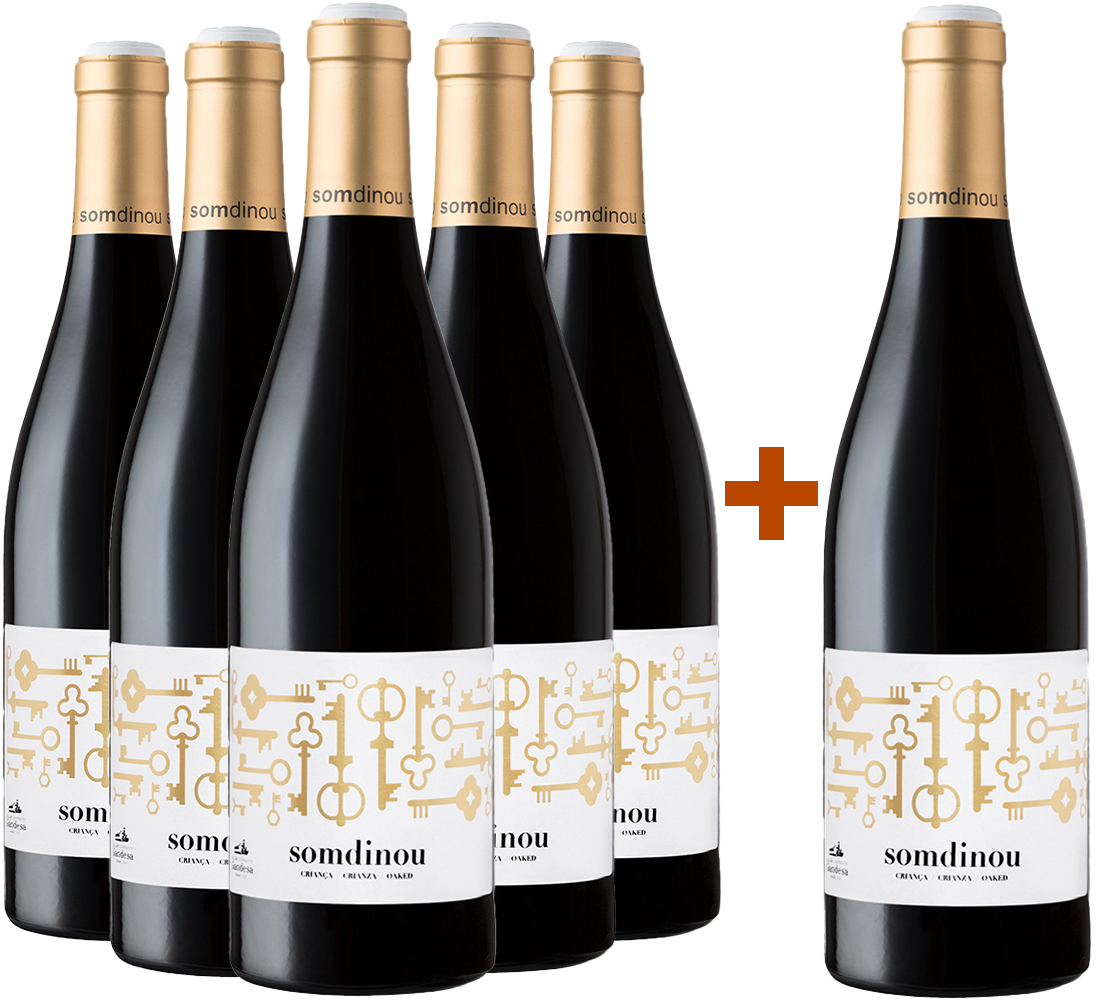 Pack descuento 5+1 Somdinou Tinto Crianza Terra Alta DO BIO Pack descuento 5+1 Somdinou Tinto Crianza Terra Alta DO BIO