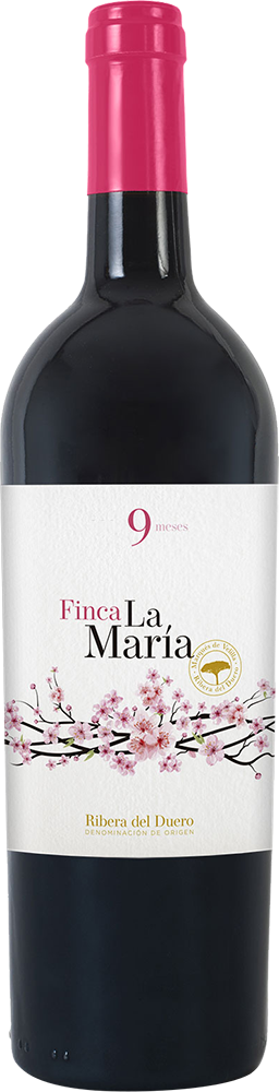 2022 Finca La Maria 9 meses Ribera del Duero DO
