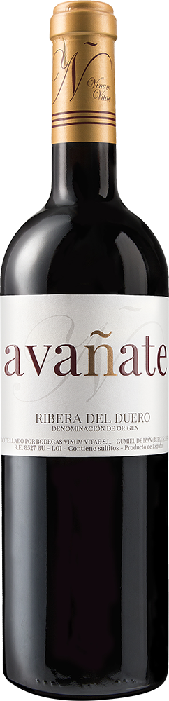 2021 Avañate Ribera del Duero DO