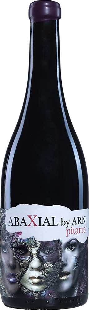 2022 Abaxial Pitarra by ARN 2022 Abaxial Pitarra by ARN