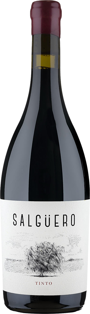 2018 Pradorey Salgüero Tinto
