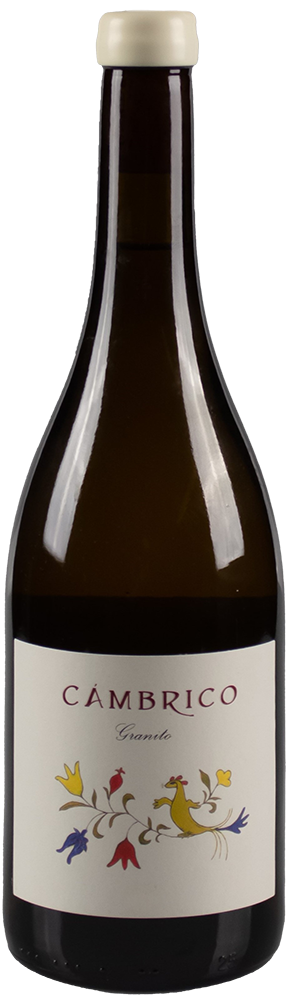 2020 Cámbrico Rufete Blanco Granito Sierra de Salamanca DOP