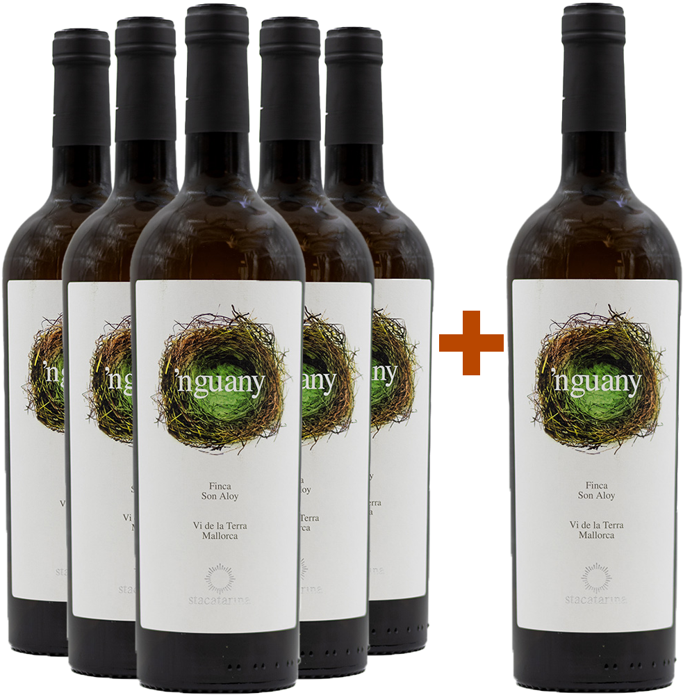Pack descuento 5+1 Nguany Blanco Mallorca VT