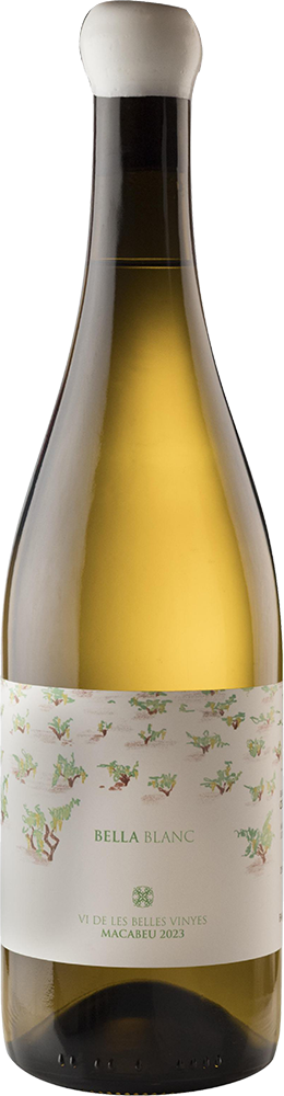 2023 Bella Blanco Macabeu Tarragona DO