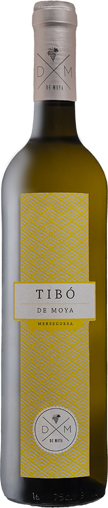 2023 "Tibó" Blanco