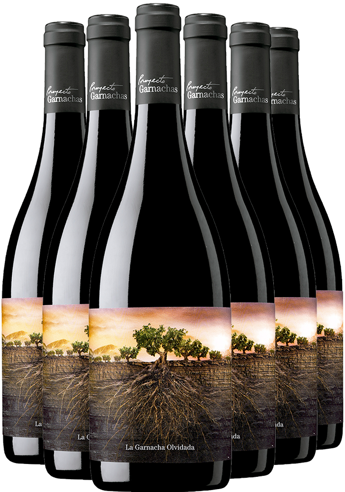 Pack Descuento La Garnacha Olvidada de Aragón Pack Descuento La Garnacha Olvidada de Aragón
