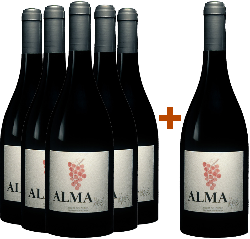 Pack descuento 5+1 Alma Lopez Flor Ribera del Duero DO BIO