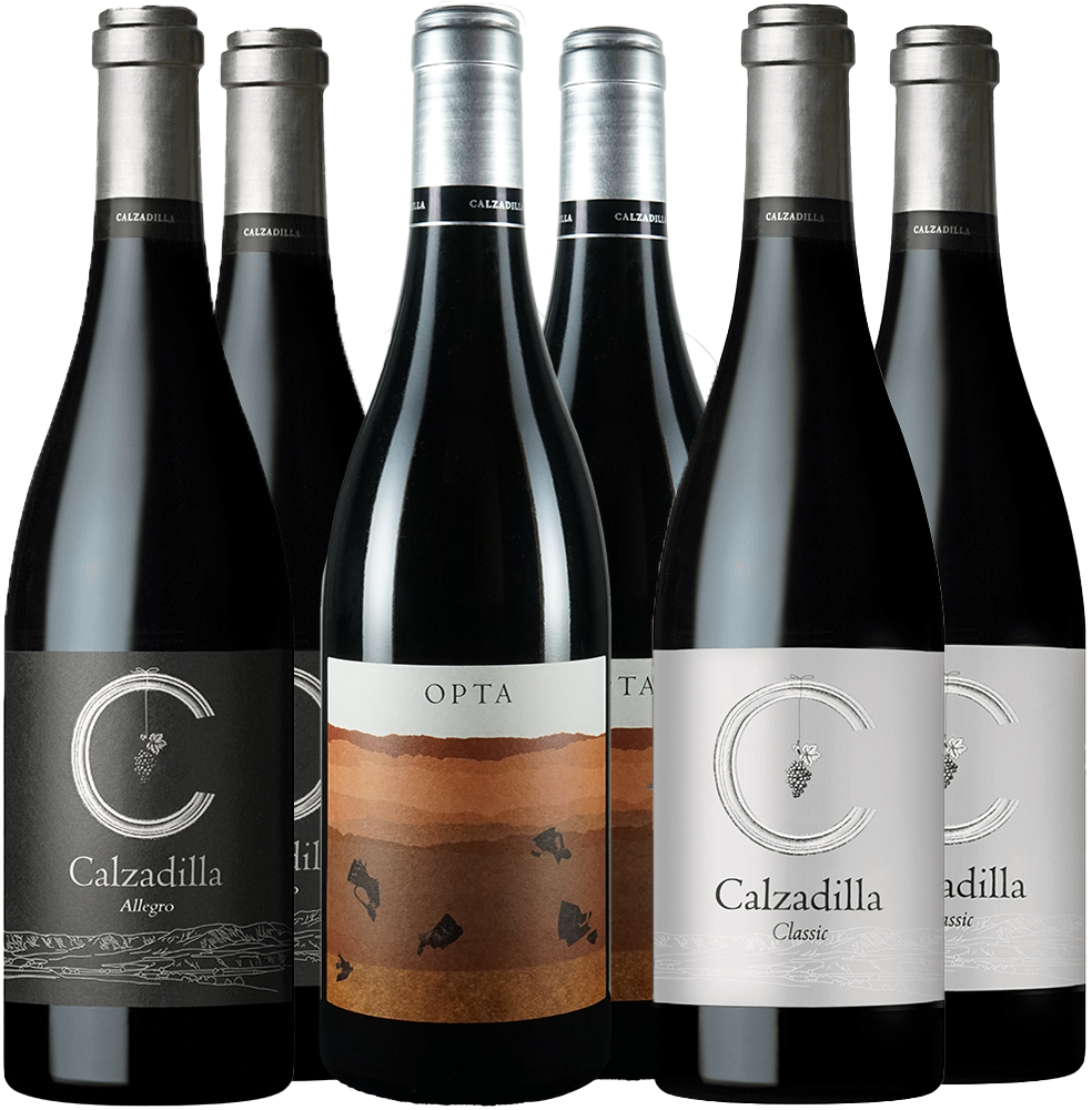 Pack degustación Pago Calzadilla VP BIO Pack degustación Pago Calzadilla VP BIO