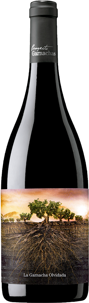 2022 La Garnacha Olvidada de Aragón Calatayud DO 2022 La Garnacha Olvidada de Aragón Calatayud DO