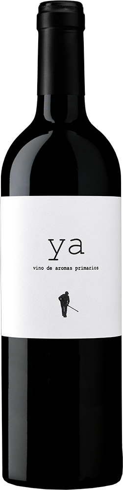 2024 YA Syrah Navarra DO