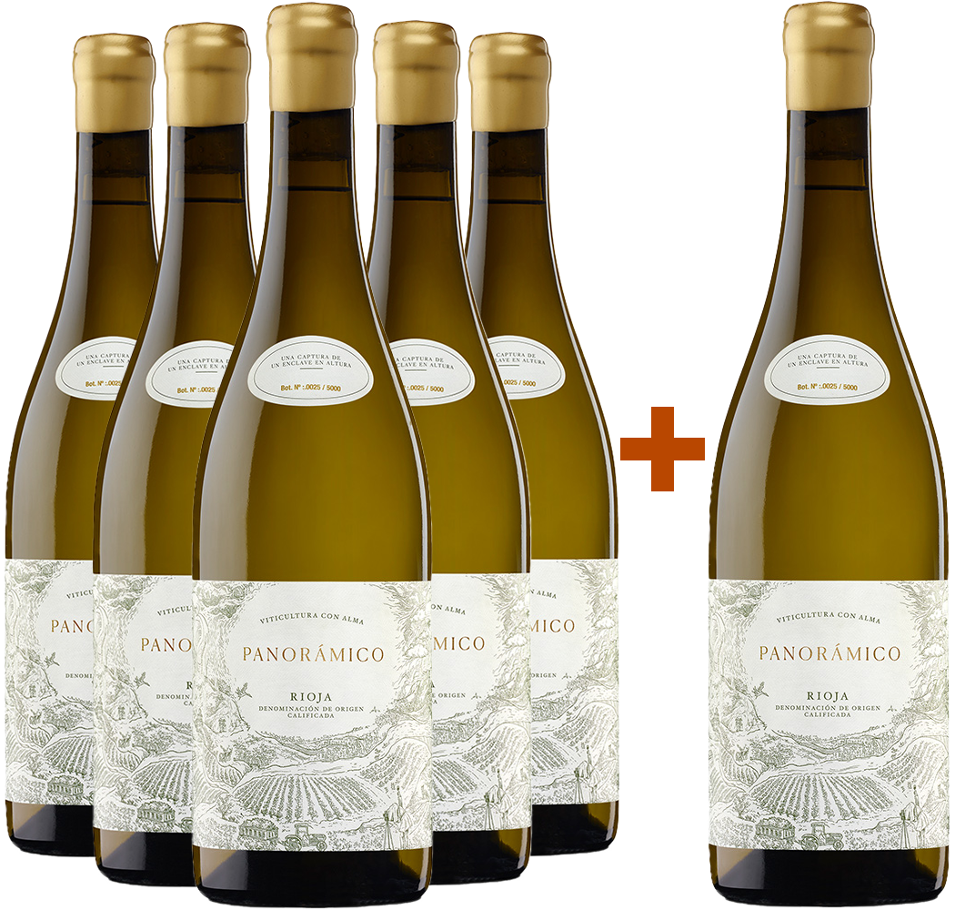 Pack descuento 5+1 Panorámico Blanco Rioja DOCa Pack descuento 5+1 Panorámico Blanco Rioja DOCa
