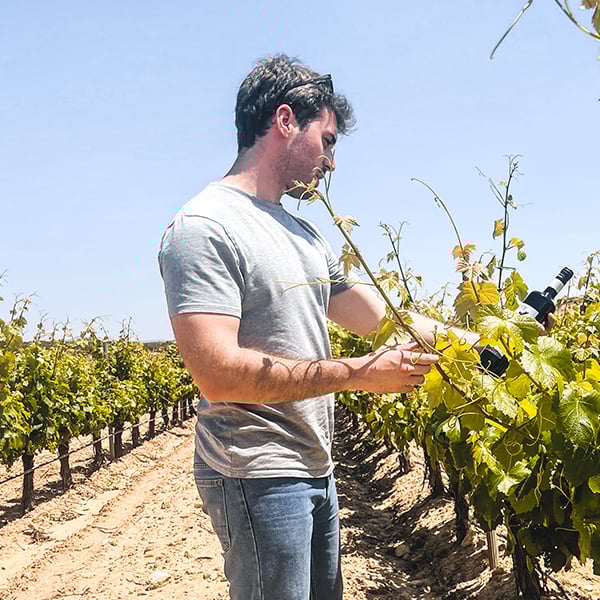 manufacturer_bodegas_salzillo_person Pablo José Román Solano