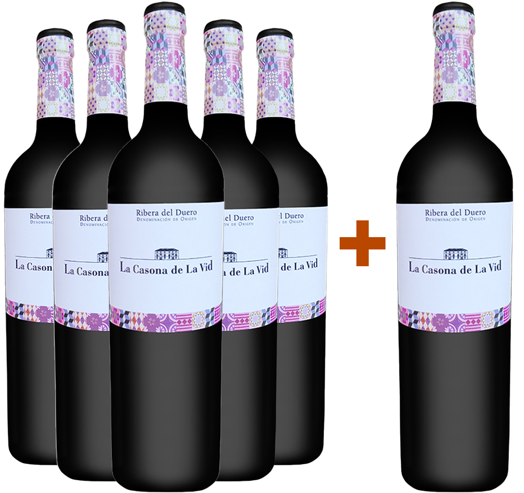 Pack Descuento 5+1 La Casona de la Vid Crianza Ribera del Duero DO