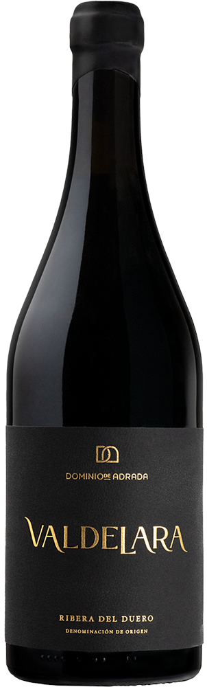 2022 Valdelara Ribera del Duero DO