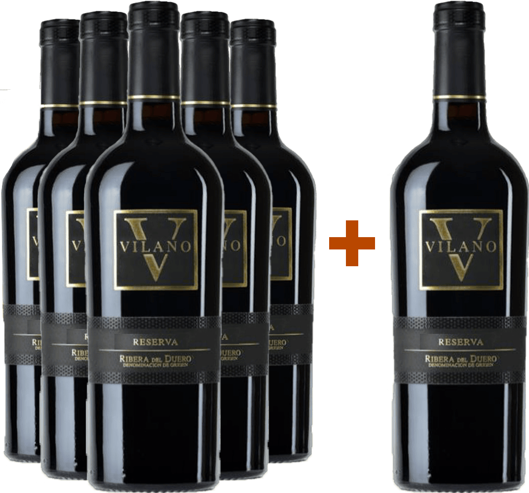 Pack descuento 5+1 Vilano Reserva en caja de madera