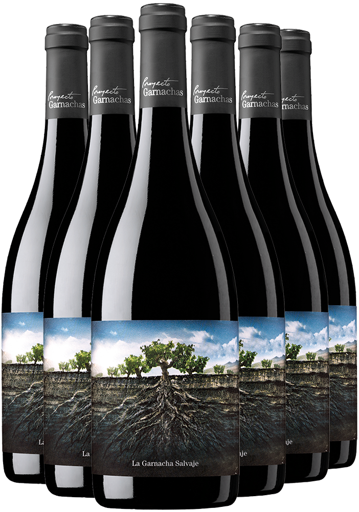 Pack Descuento Garnacha Salvaje del Moncayo Pack Descuento Garnacha Salvaje del Moncayo