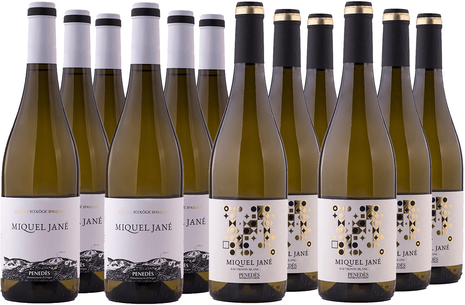 Pack degustación Blanco Miquel Jané Penedès DO BIO
