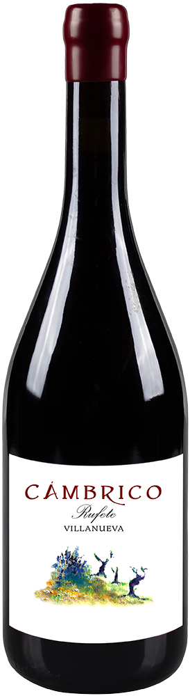 2021 Cámbrico Villanueva Sierra de Salamanca DOP 2021 Cámbrico Villanueva Sierra de Salamanca DOP