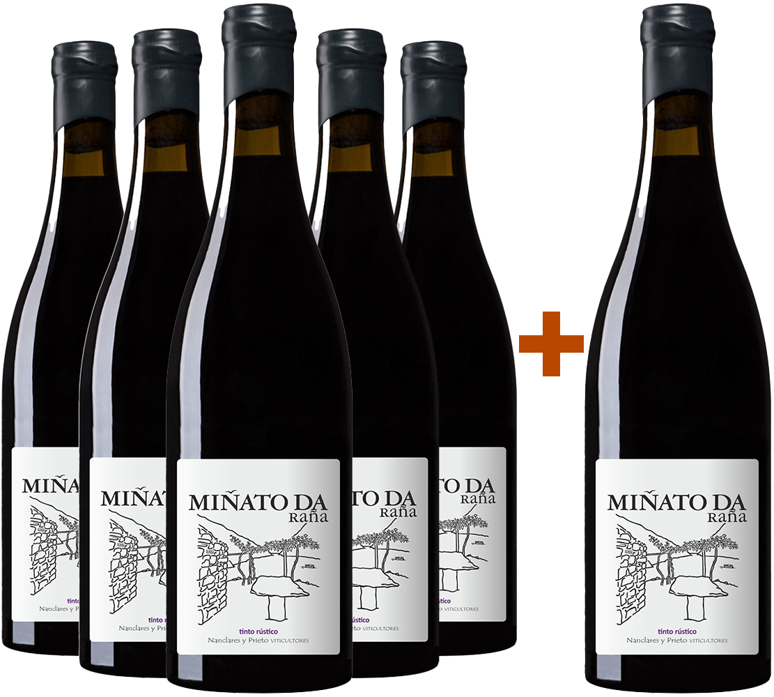 Pack Descuento 5+1 Nanclares Miñato da Raña Pack Descuento 5+1 Nanclares Miñato da Raña