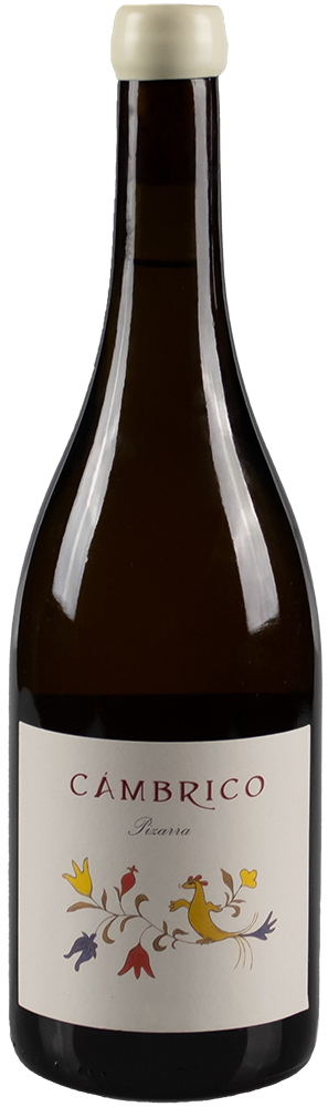 2020 Cámbrico Rufete Blanco Pizarra Sierra de Salamanca DOP 2020 Cámbrico Rufete Blanco Pizarra Sierra de Salamanca DOP