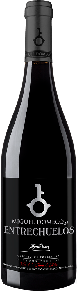 2020 Entrechuelos Premium Cádiz VT 2020 Entrechuelos Premium Cádiz VT