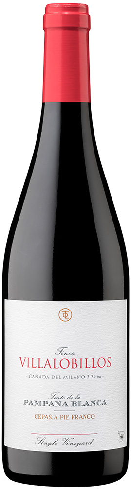 2021 Finca Villalobillos - Tinto de la Pámpana Blanca Castilla VT