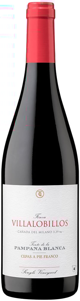 2021 Finca Villalobillos Tinto de la Pámpana Blanca Castilla VT 2021 Finca Villalobillos Tinto de la Pámpana Blanca Castilla VT