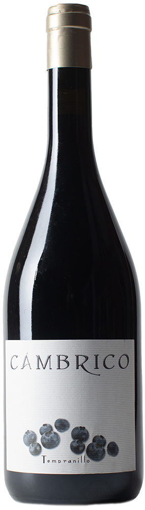 2012 Cámbrico Tempranillo Sierra de Salamanca DOP 2012 Cámbrico Tempranillo Sierra de Salamanca DOP