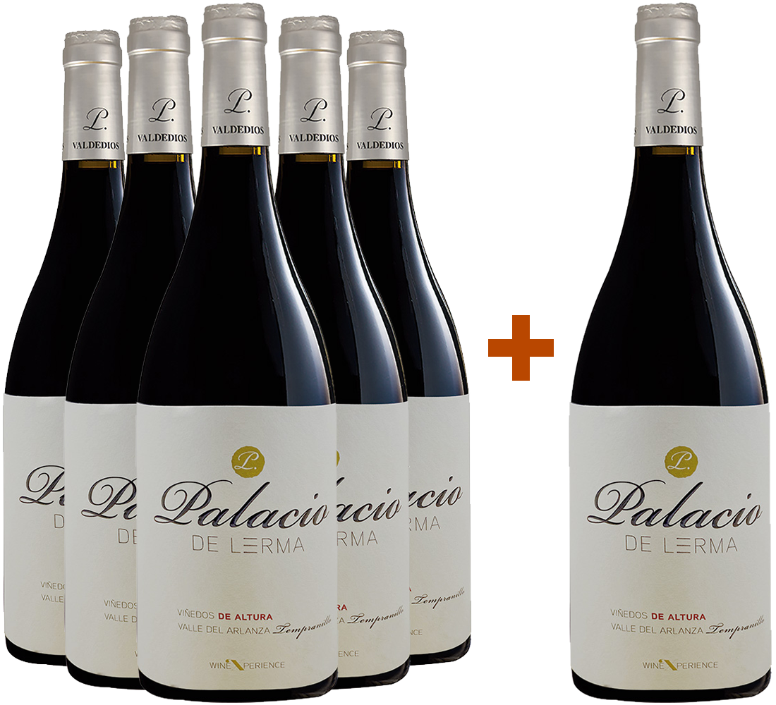 Pack descuento 5+1 Palacio de Lerma Crianza Arlanza DO Pack descuento 5+1 Palacio de Lerma Crianza Arlanza DO