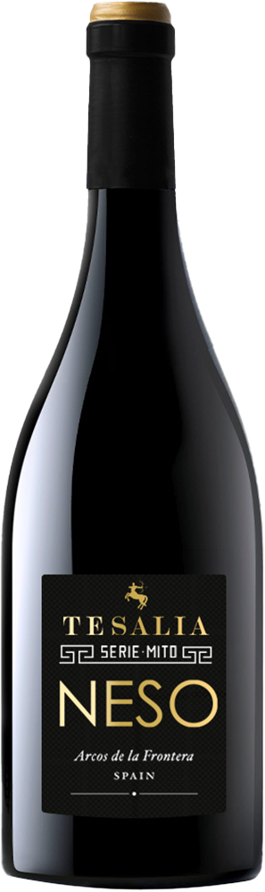 2022 Neso Cádiz VT
