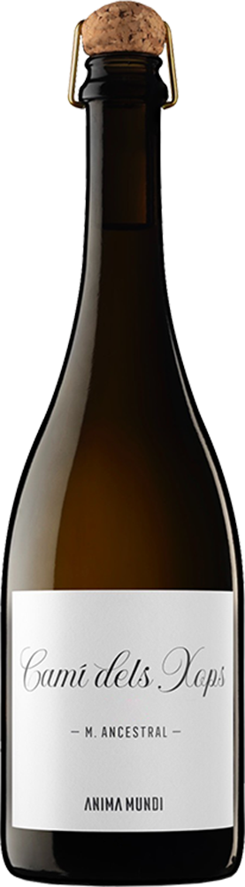 2022 Anima Mundi Camí Dels Xops Ancestral 2022 Anima Mundi Camí Dels Xops Ancestral